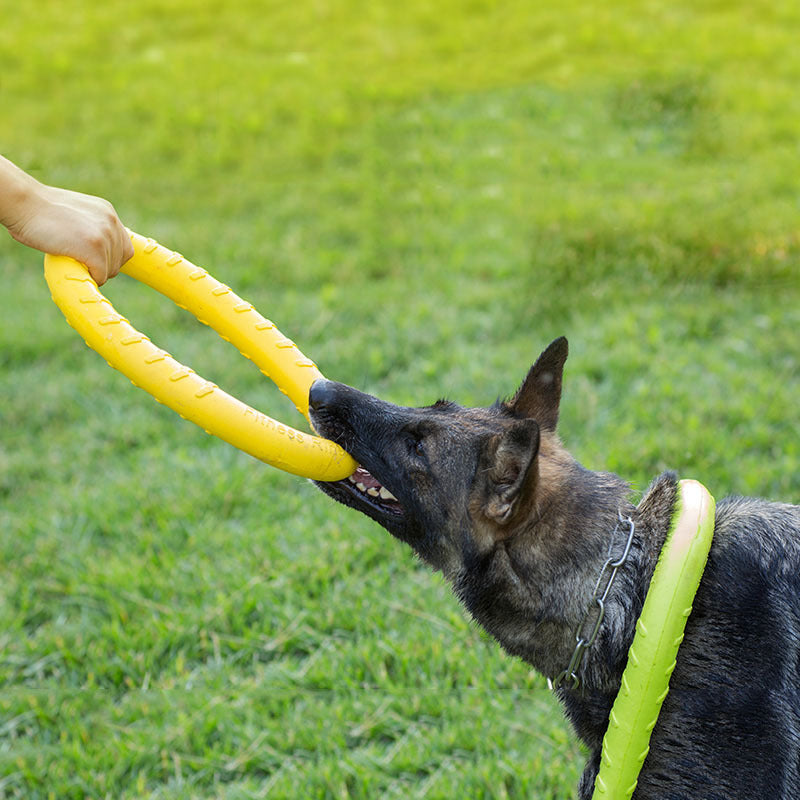 Dog Training Toy - The Paw Father