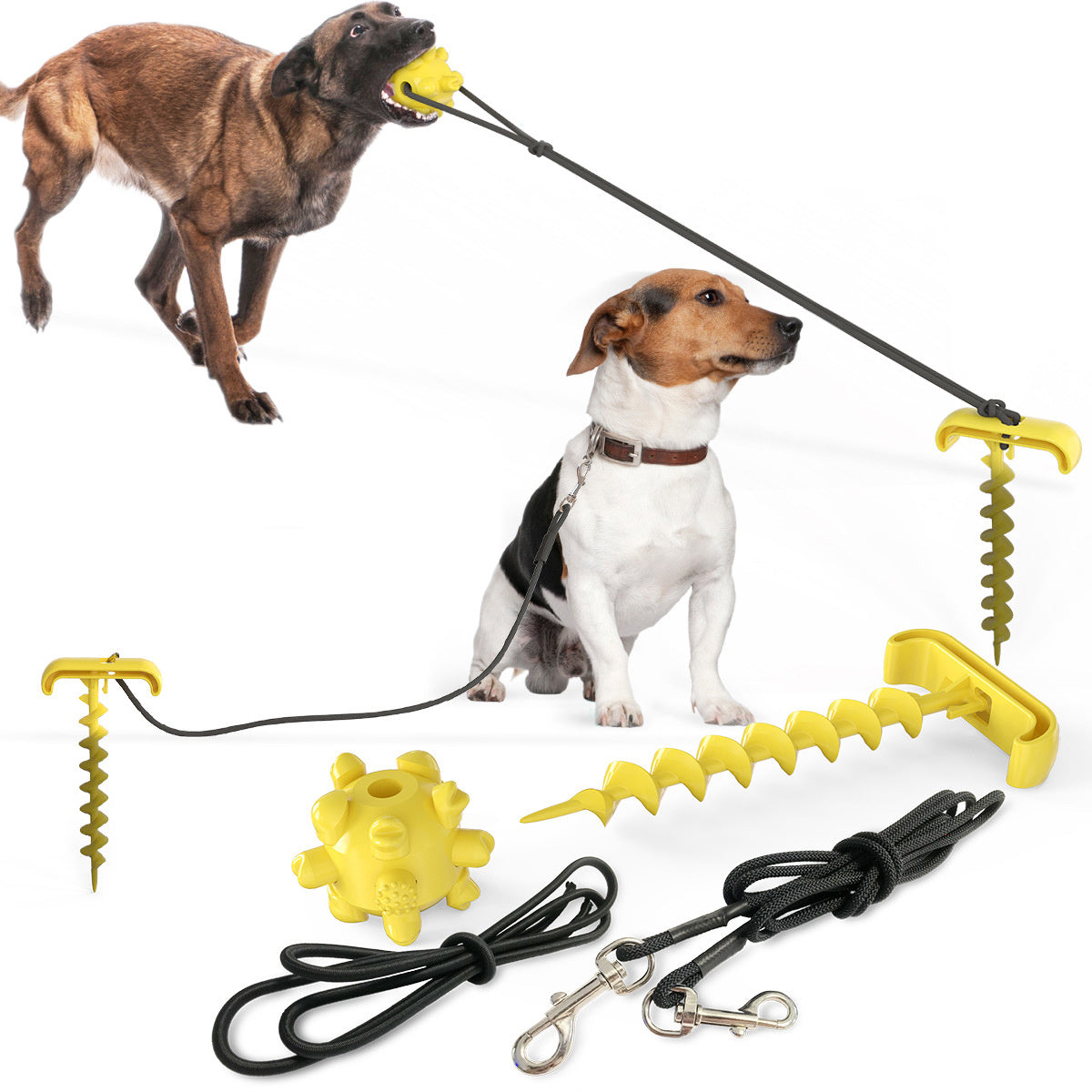Tie dog leash toy - The Paw Father