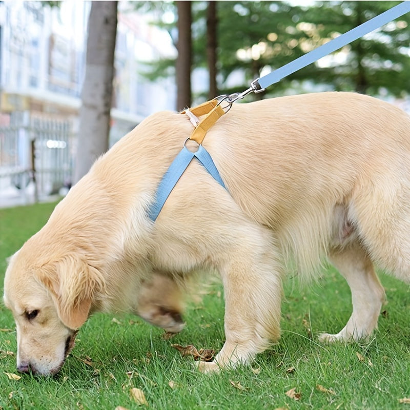 Rainbow Colorblock Pet Harness Set - The Paw Father