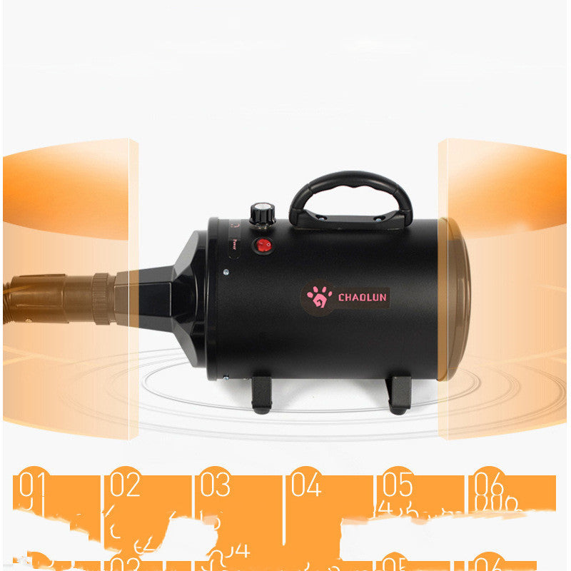 Huisdier Water Blazen Machine Hond Haardroger High Power Mute Grote Hond En Kat Speciale Drogen En Blazen Artefact