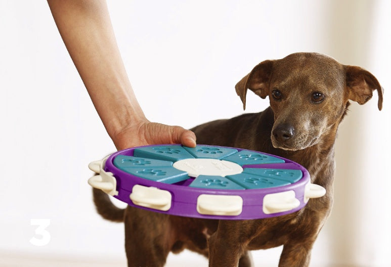 Dog educational toys - The Paw Father