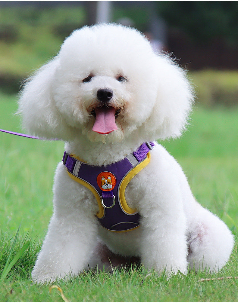 Reflective Pet Harness & Leashs - The Paw Father