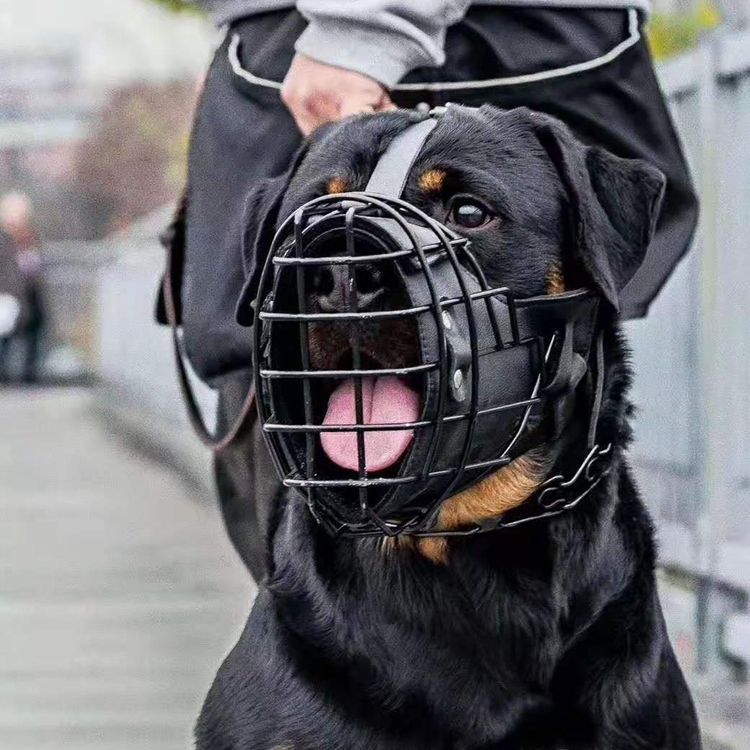 Tactical Mouth Cage Impact Muzzle