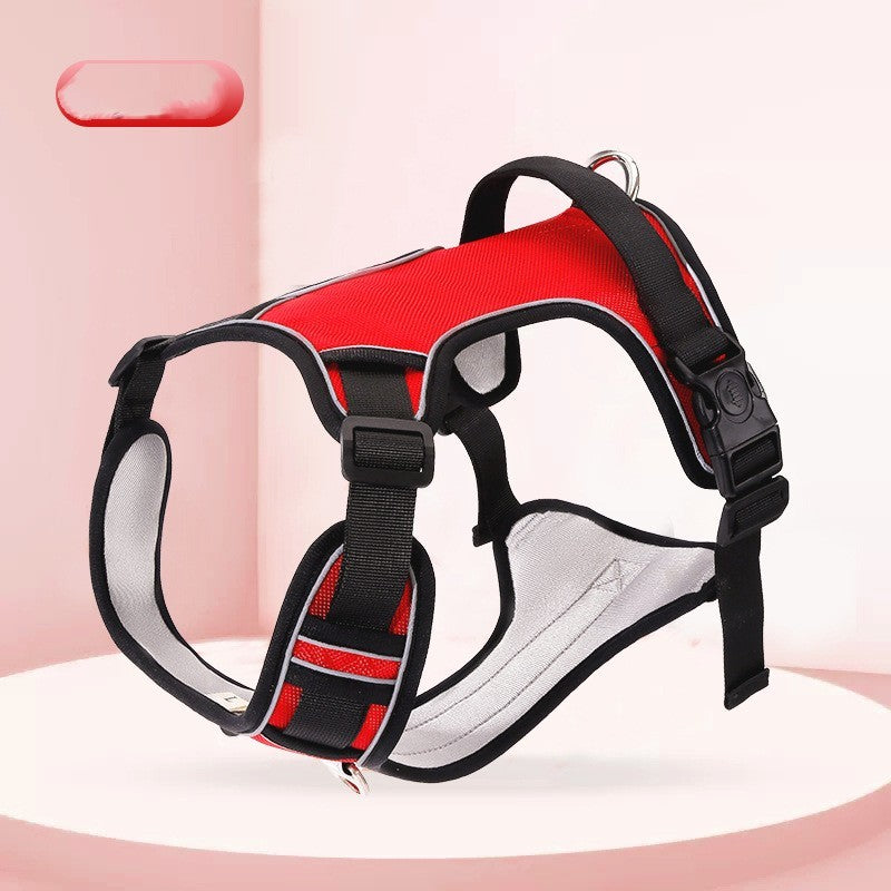 Hand Holding Harness & Rope - The Paw Father