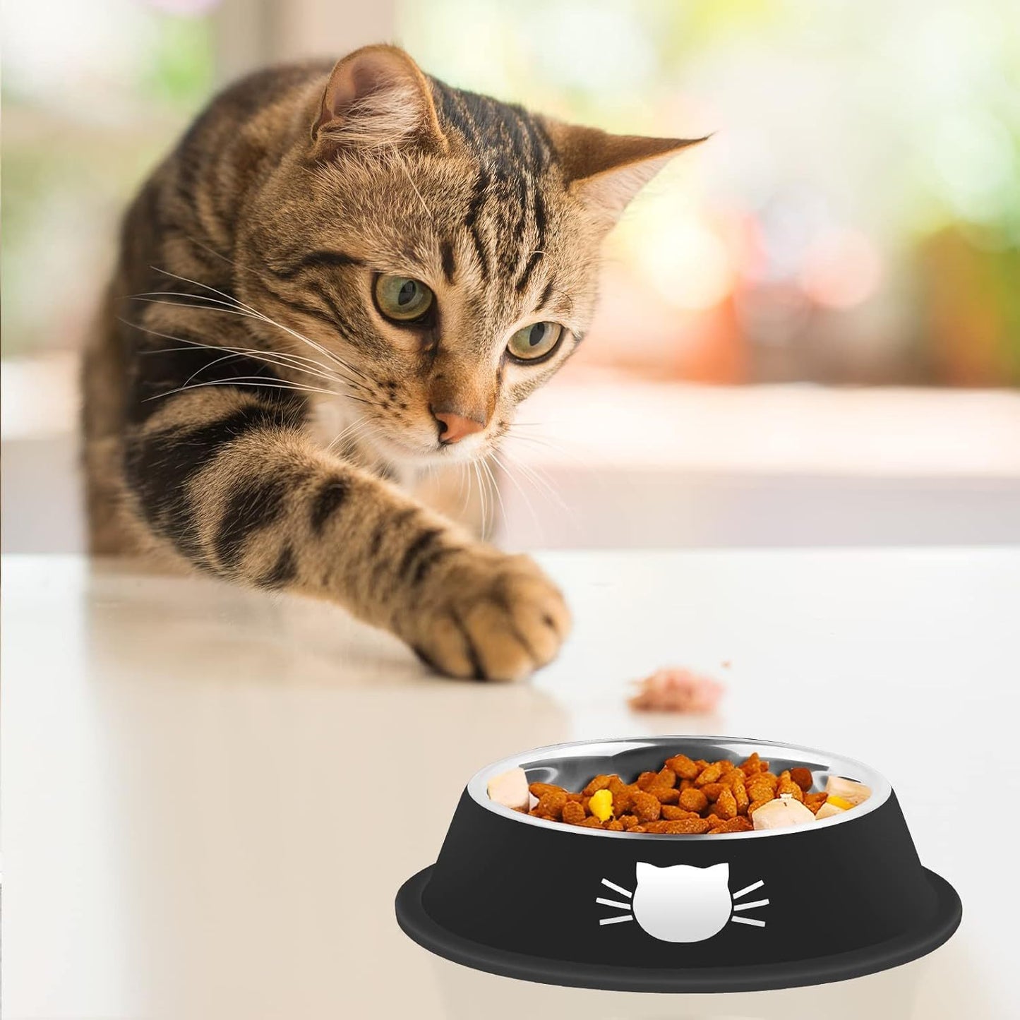 Pet Non-Slip Stainless Steel Food Bowls - The Paw Father