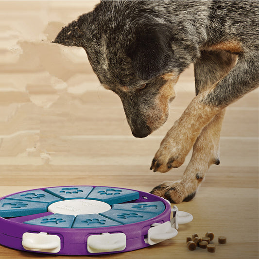 Dog educational toys - The Paw Father