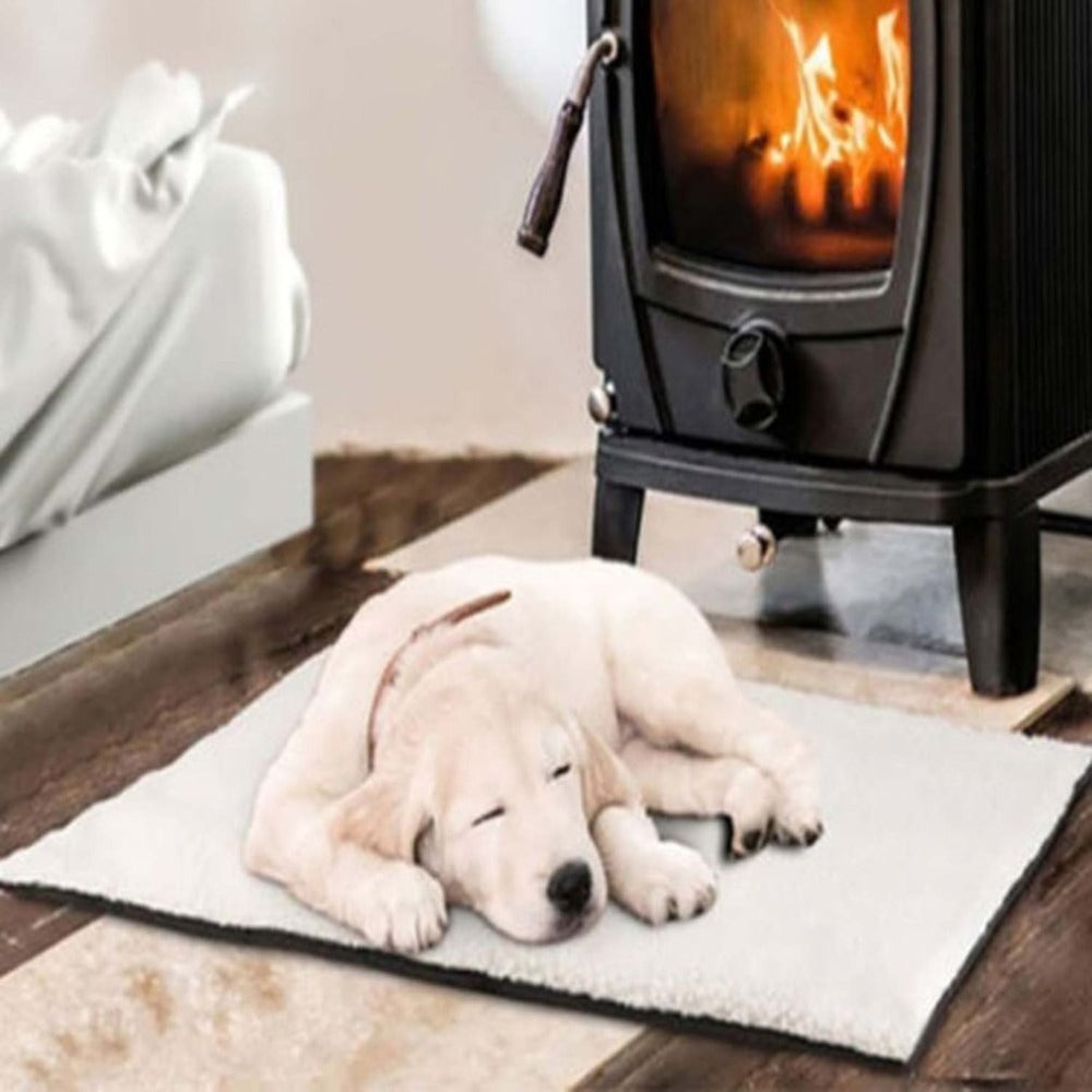 Self Heating Pet Bed Thermal - The Paw Father