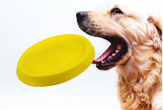 Pet Dogs Throwing Plastic Toys - The Paw Father