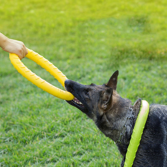 Dog Training Toy - The Paw Father