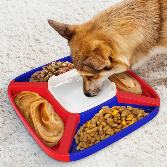 Dog Automatic Feeder - The Paw Father