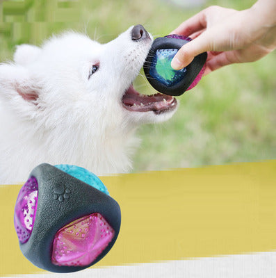 Dog ball toy - The Paw Father