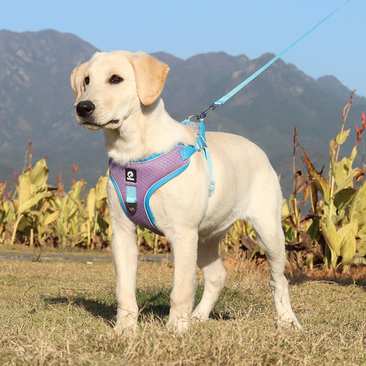 Breathable Pet Harness Adjustable Leash - The Paw Father