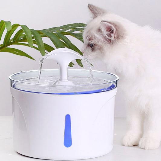 Pet Drinking Water Feeder - The Paw Father