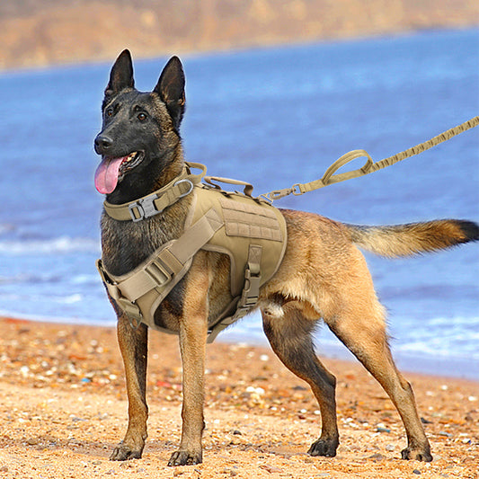 Tactics K9 Chest Harness Vest - The Paw Father