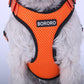 Pet Breathable Harness - The Paw Father