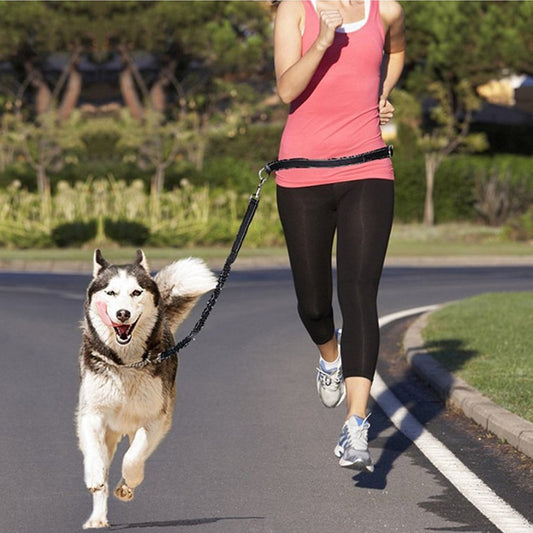 Jogging Adjustable Pet Leash - The Paw Father