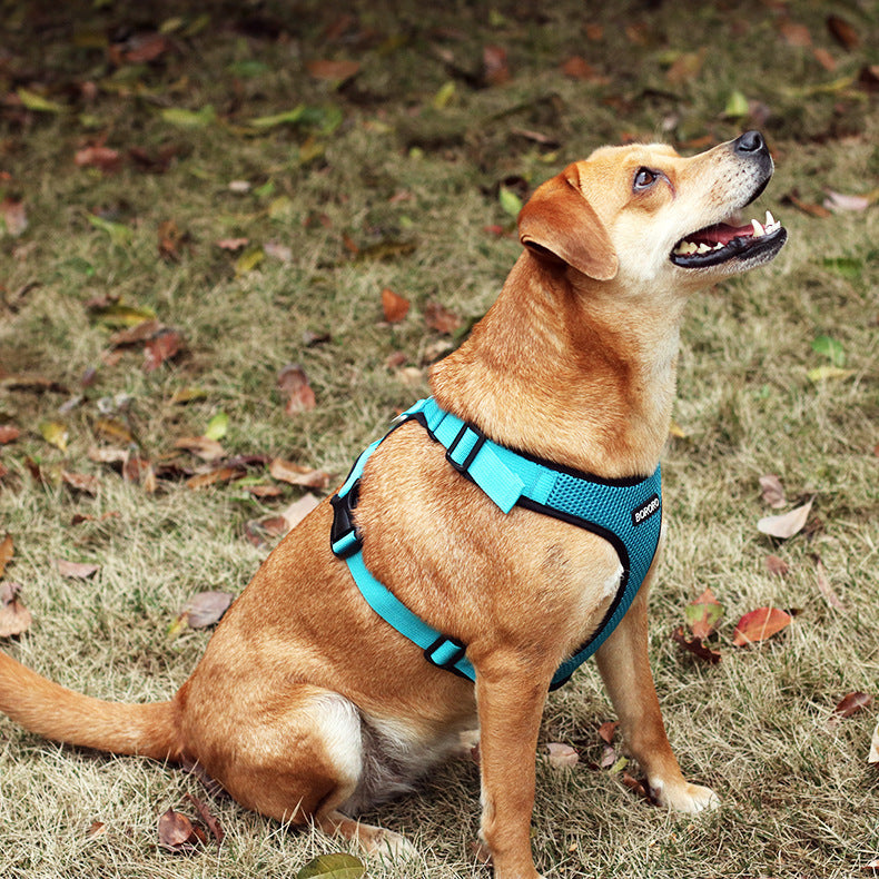 Pet Breathable Harness - The Paw Father