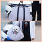 Simple And Creative Pet Carrier - The Paw Father