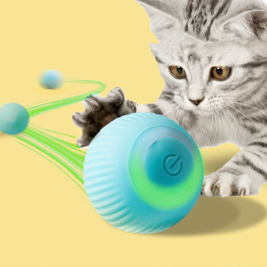 Electric Rolling Ball Cat Toy - The Paw Father