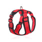 Pet Breathable Harness - The Paw Father