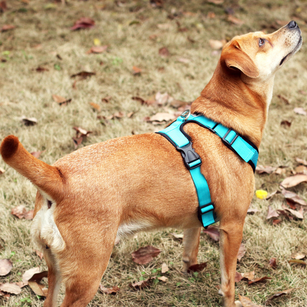 Pet Breathable Harness - The Paw Father