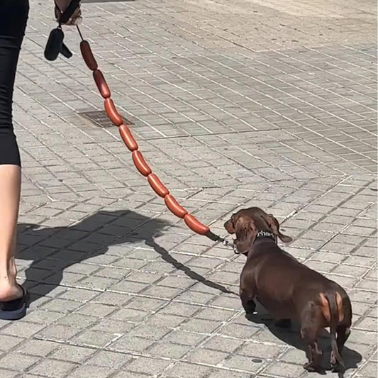 Dog Hand Holding Rope A Bunch Of Big Sausage